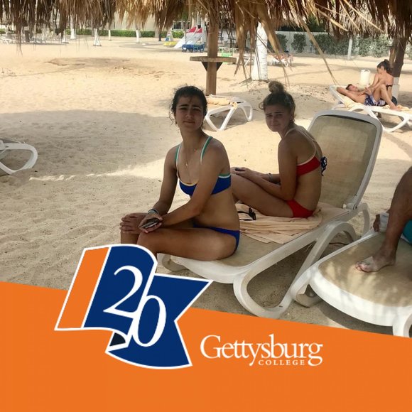 Meet your Posher, Skylar - Picture 1 of 1